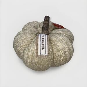 Ashland Tabletop Fall Decor Soft Pumpkin Realistic Stem 7in NEW!